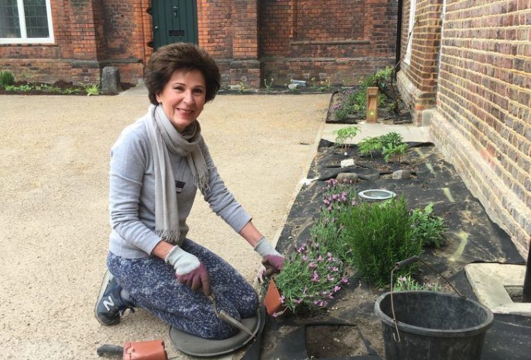 A woman kneels on the ground, planting small plants in the Tudor courtyard