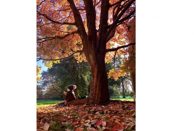 a child wearing a bobble hat sits underneath a tree which has autumnal leaves