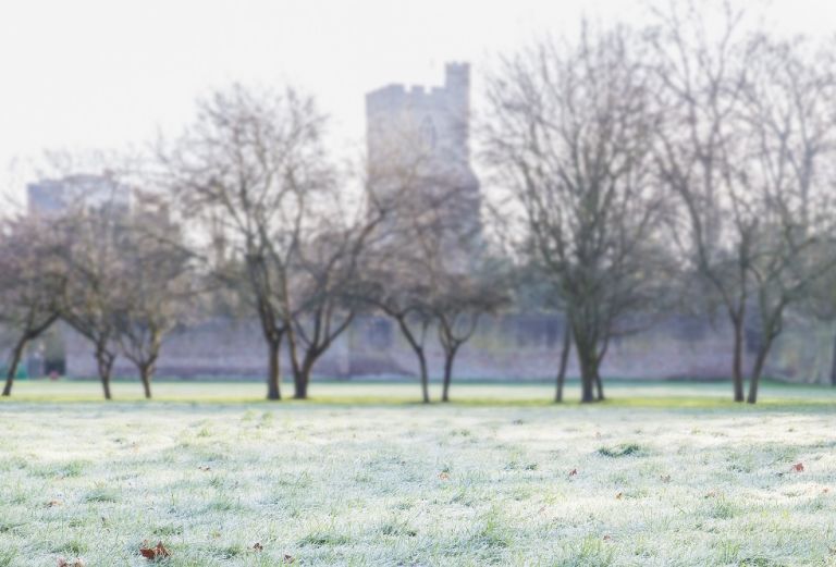frosty grass with trees and peak of a church in the background