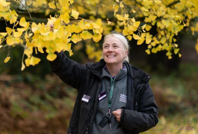 Image shows head gardener next to a Gingko tree