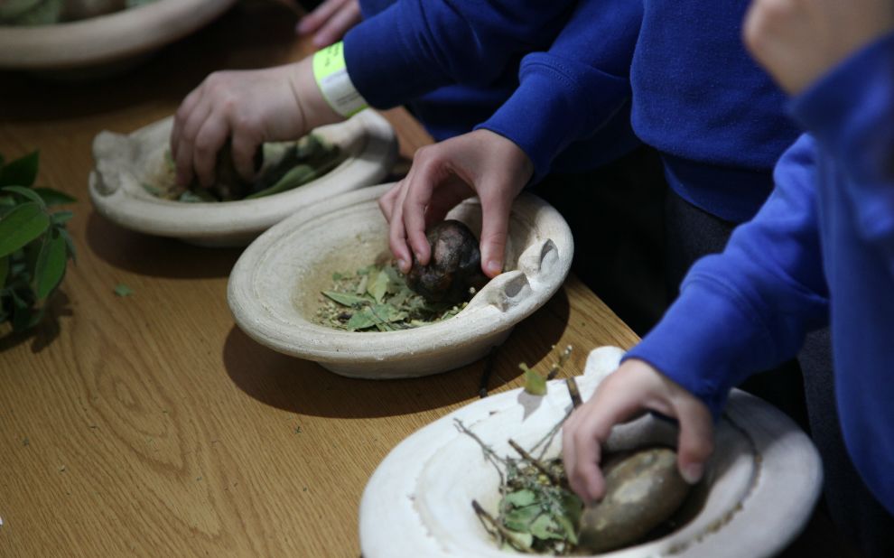 close up of children's hands as they grind herbs with rocks
