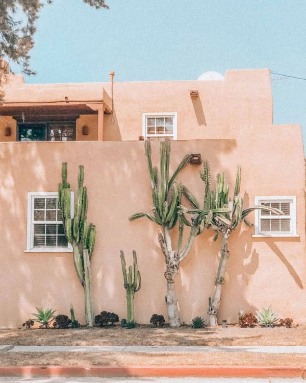 Griet Alice en Koen in de wei