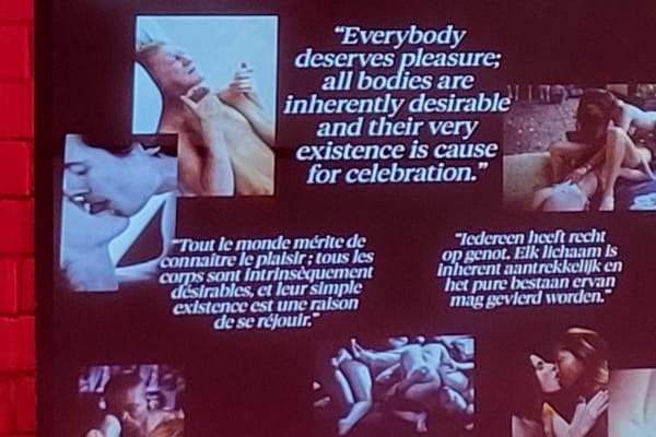 Beeld met clips uit films van Erica Lust. Centraal een citaat 'everybody deserves pleasure, all bodies are inherently desirable and their existence is cause for celebration'