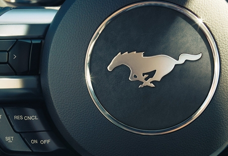 Ford MUSTANG USP