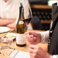 degustation vin orleans