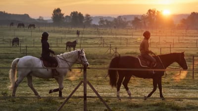 escapade-privee-cheval