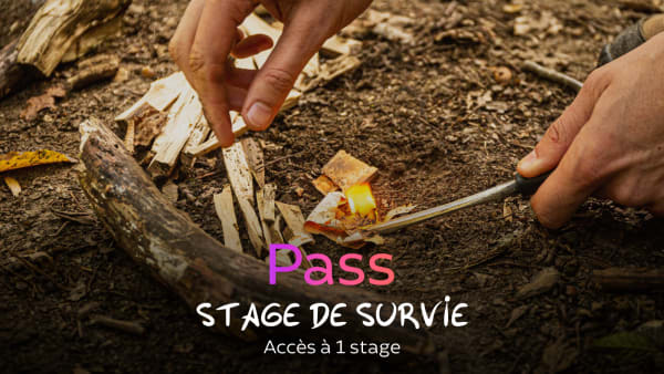 Stage de Survie