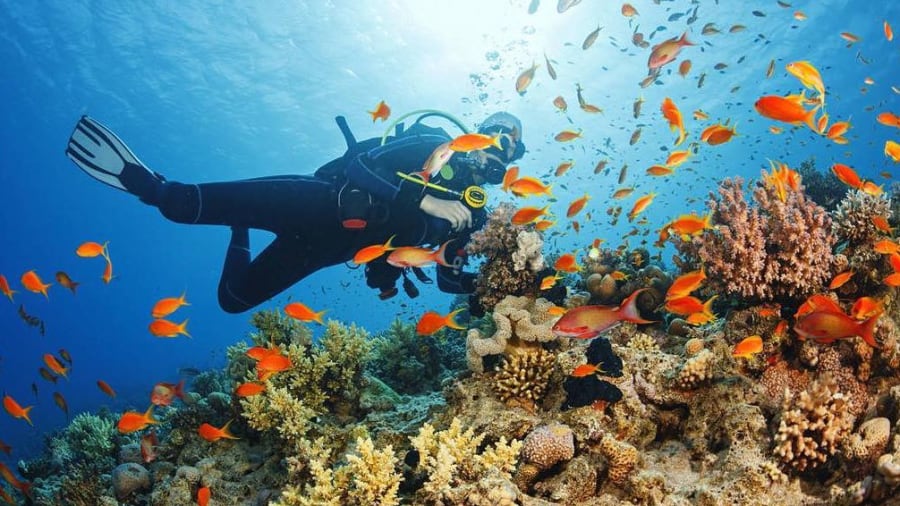 bapteme-plongee-sous-marine