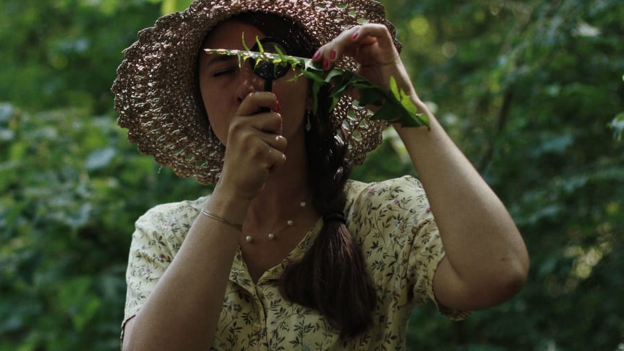 balade-decouverte-plantes-sauvages