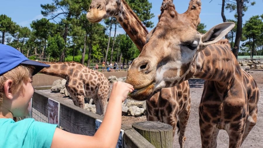 billet pour le zoo du bassin d arcachon