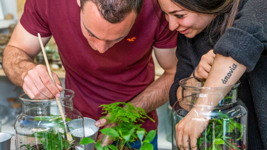 terrarium saint valentin lyon