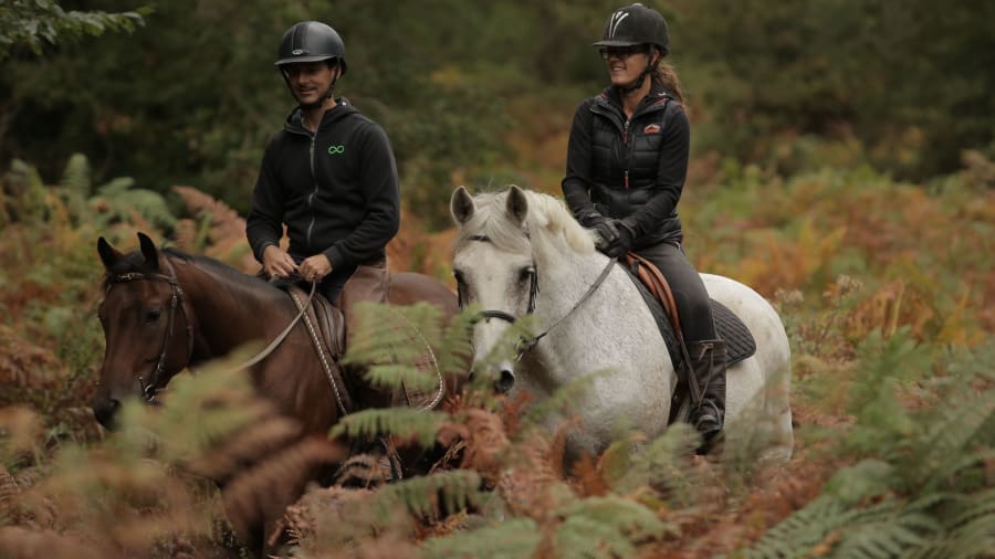 activite-famille-yvelines