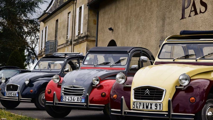 visite privee du vignoble