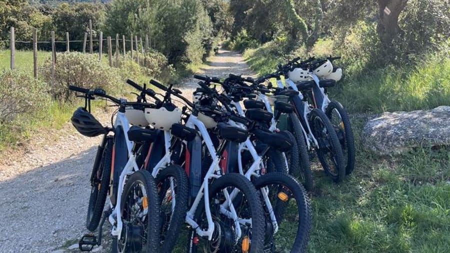 degustation-visite-velo-electrique