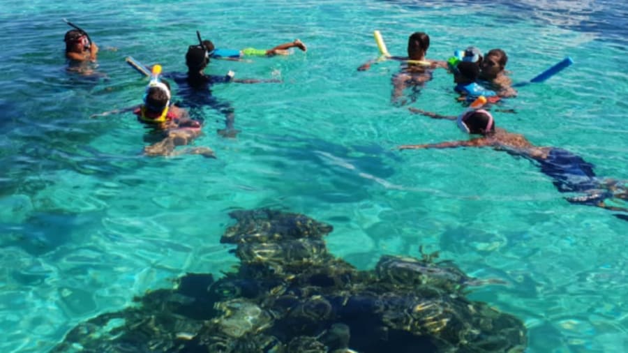 activite-enfant-guadeloupe