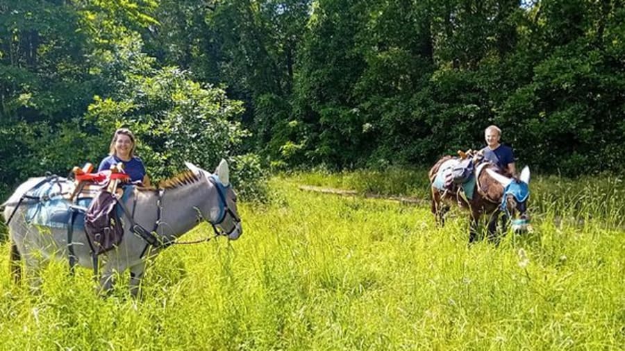 randonnee-pedestre-ane