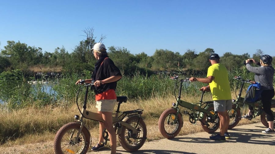 VTT