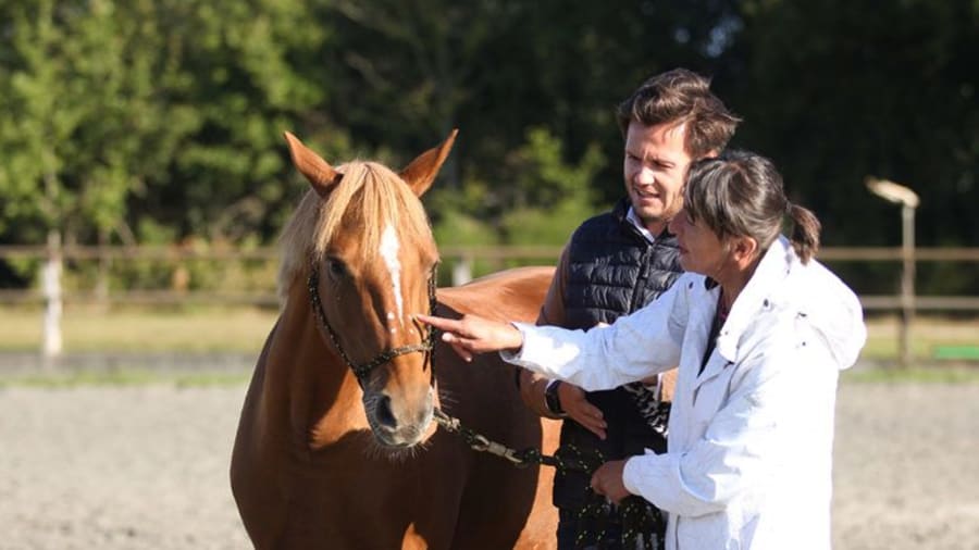 team-building-equi-coaching