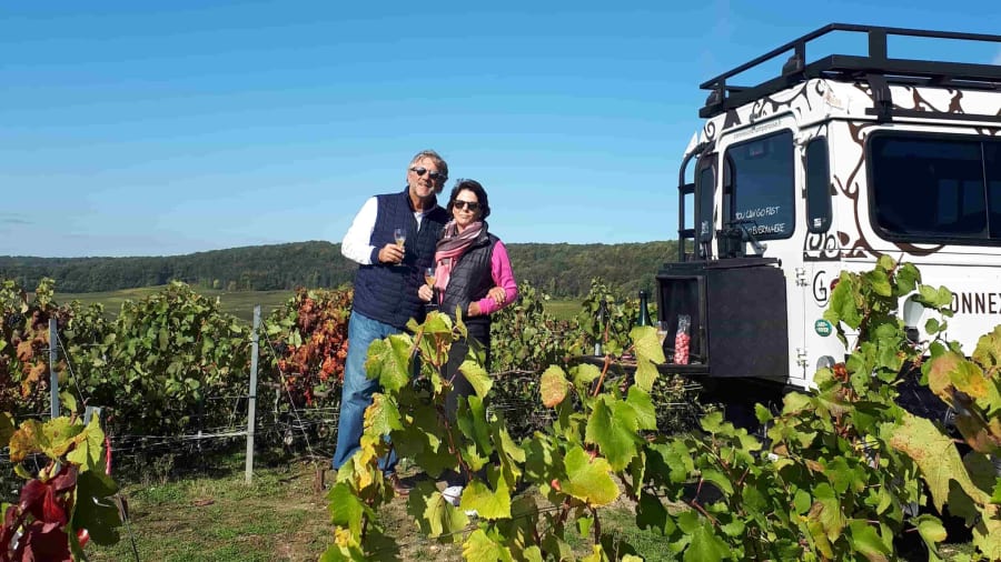 degustation vignoble