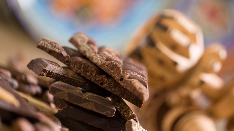 degustation de chocolat