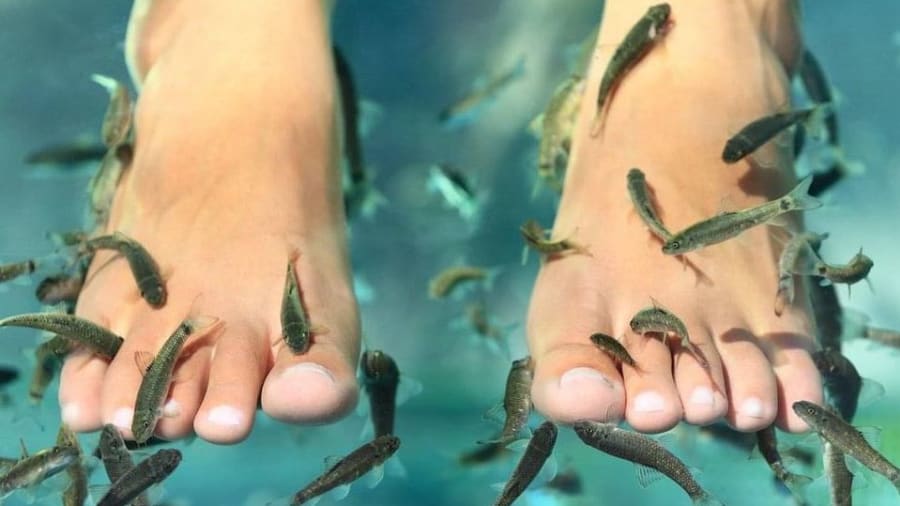fish spa couple