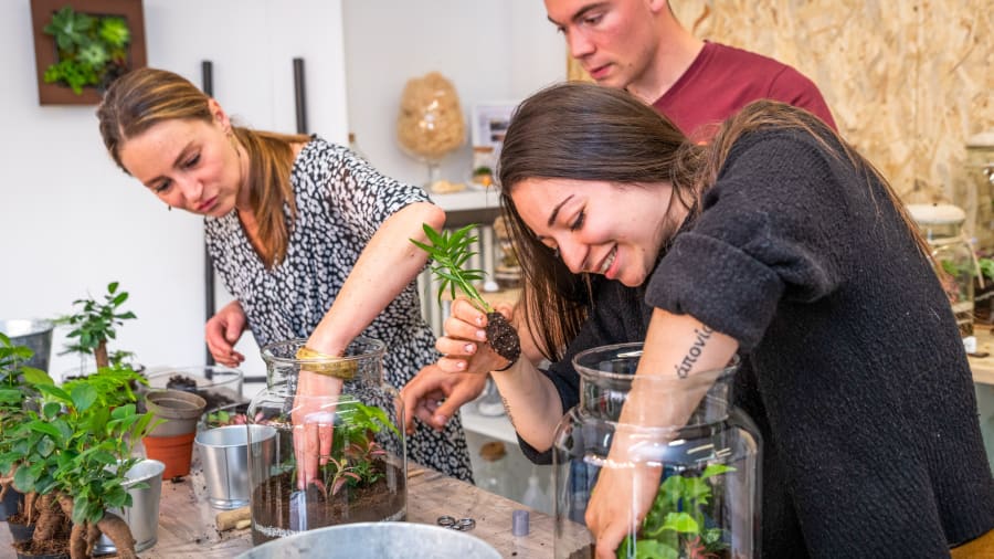 atelier terrarium
