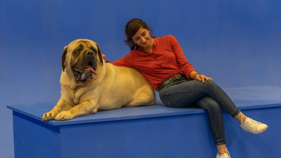 activite-enfant-orleans