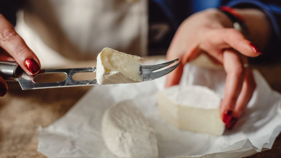 degustation-vins-fromages