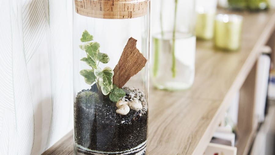 atelier-terrarium