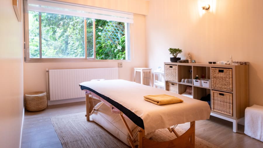 massage ayurvedique paris