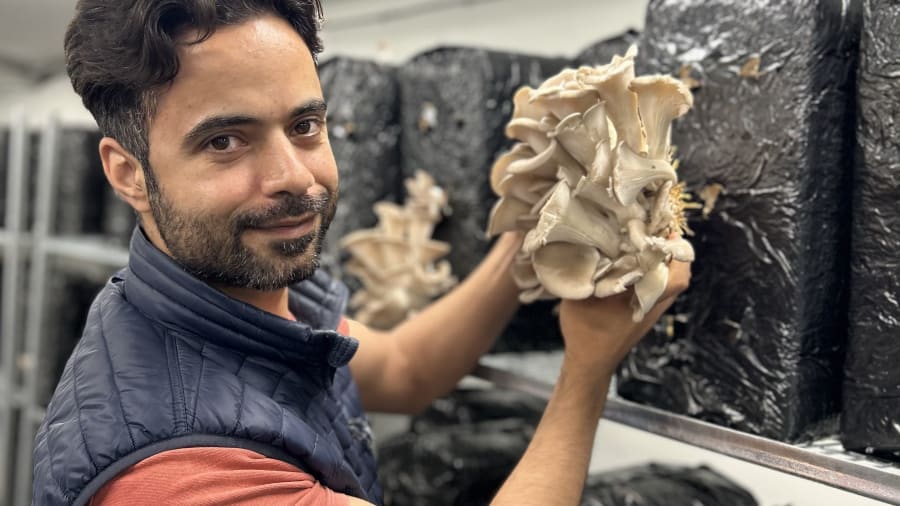 team-building-production-champignon-grenoble