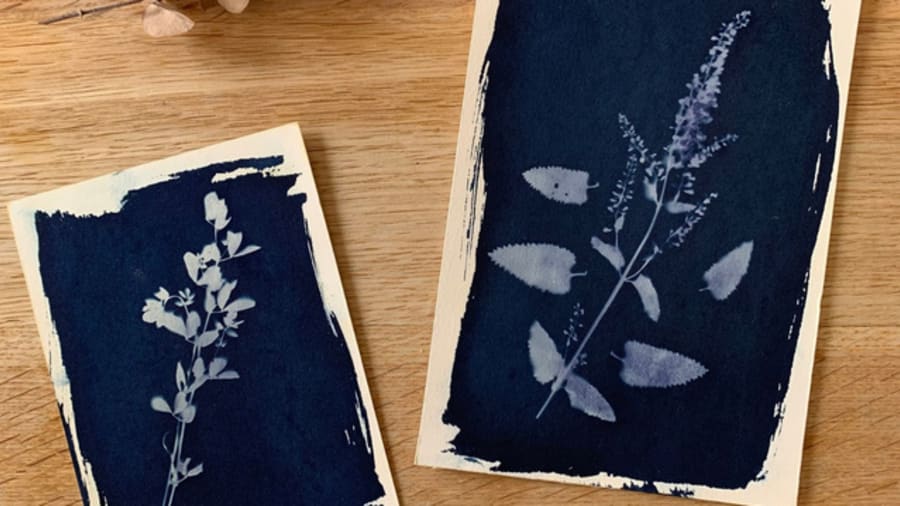 Atelier-diy-cyanotype-toulouse