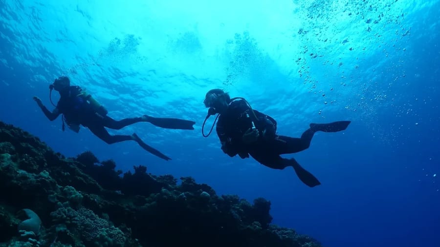 plongee-sous-marine-la-reunion