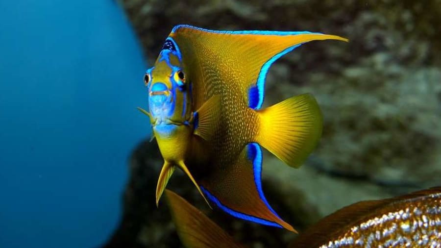 activite-ado-saint-malo