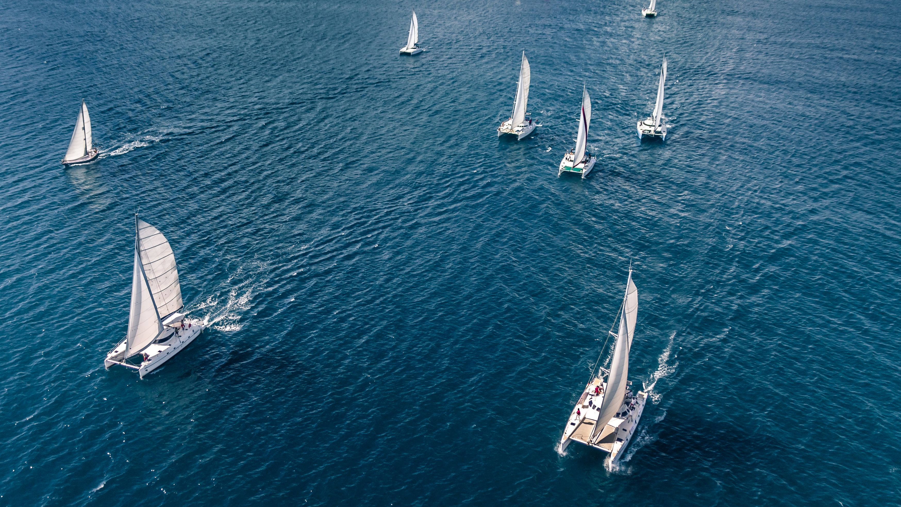 journee en catamaran