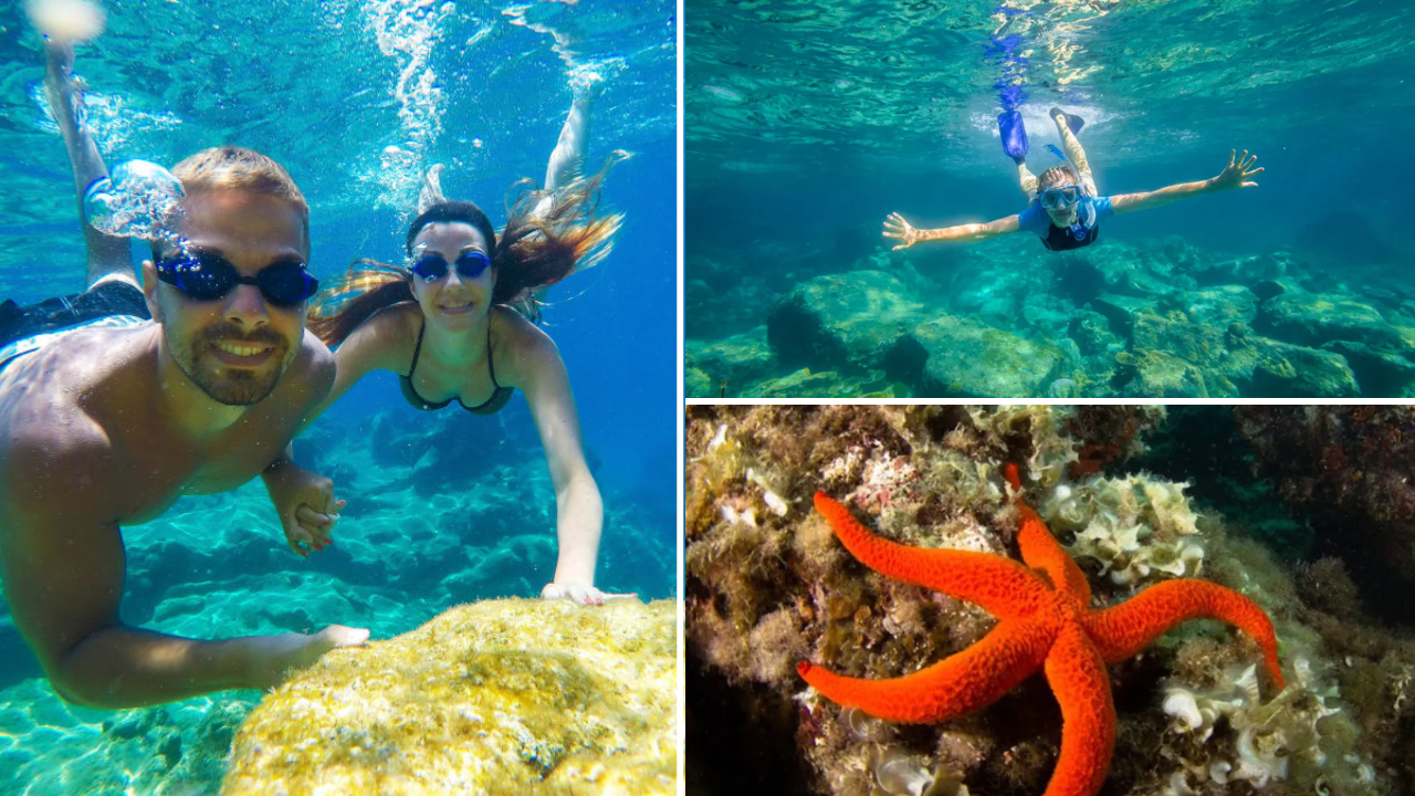 Excursion Snorkeling nice