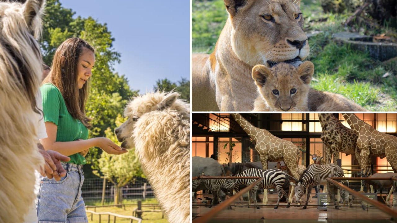 cadeau inoubliable 10 ans