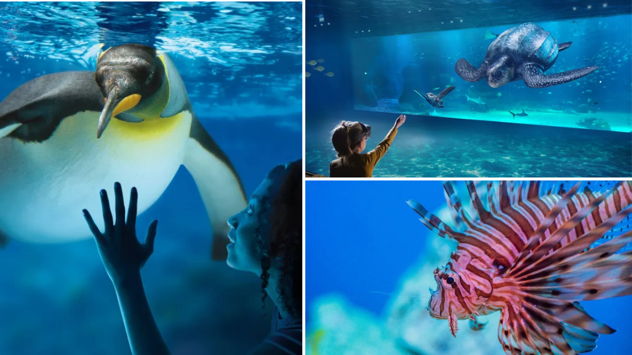 cadeau inoubliable 10 ans