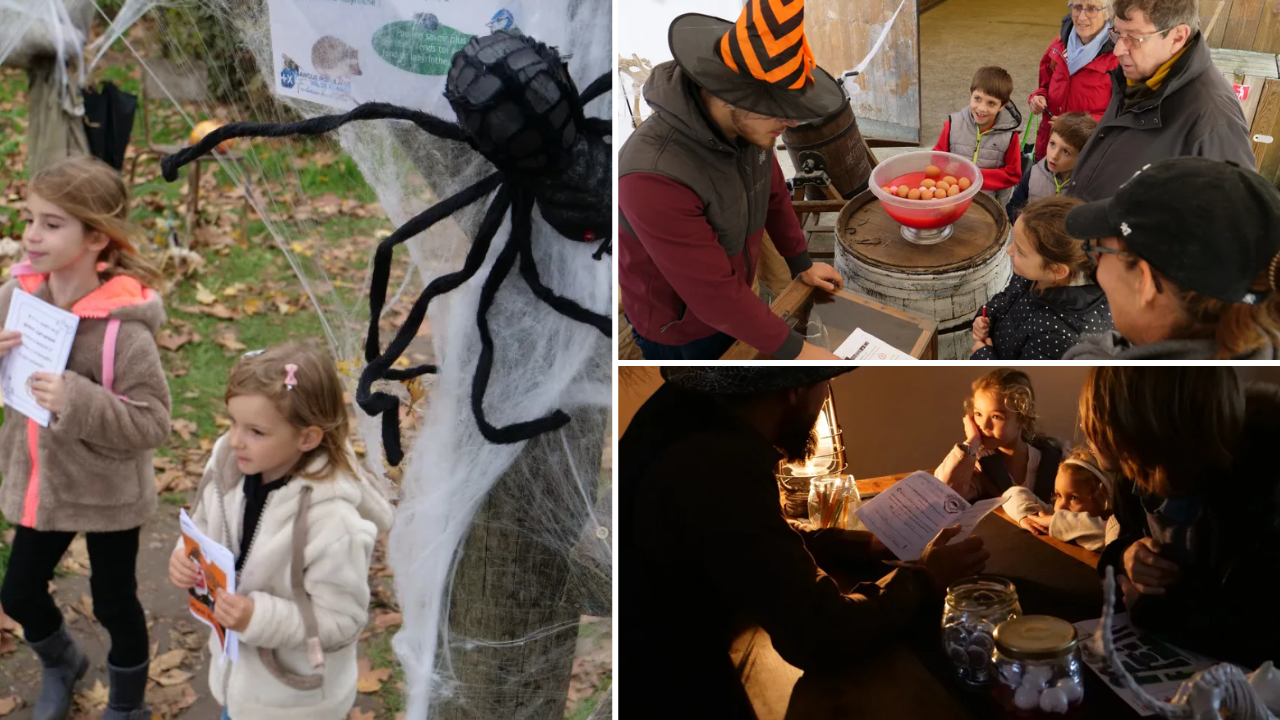 activite-halloween-paris-bergerie