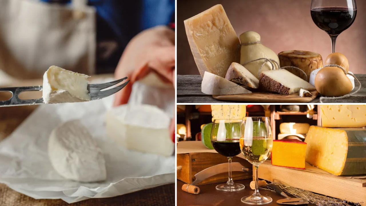 cadeau-noel-bordeaux_degustation-vin