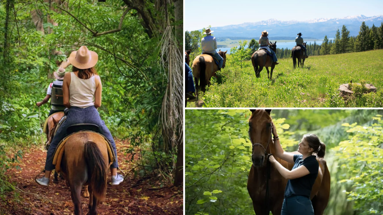 cadeau-noel-annecy-balade-cheval