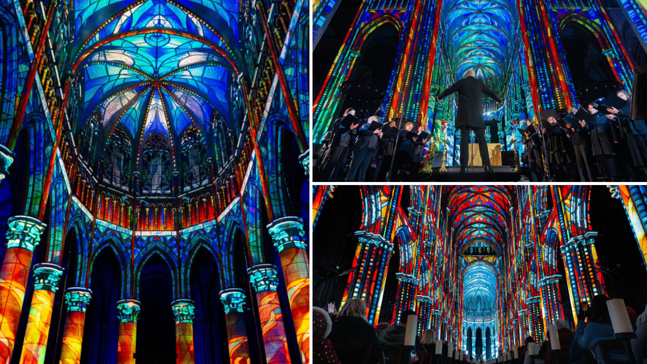 activite-insolite-la-rochelle-luminiscence