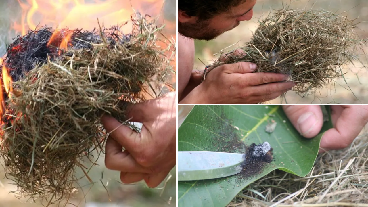 cadeau-insolite-paris-survie