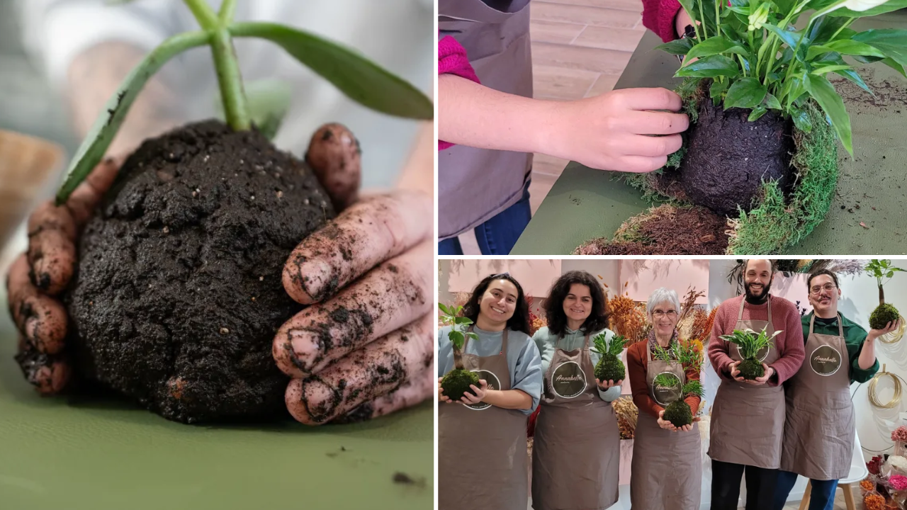 atelier-diy-nantes-kokedama