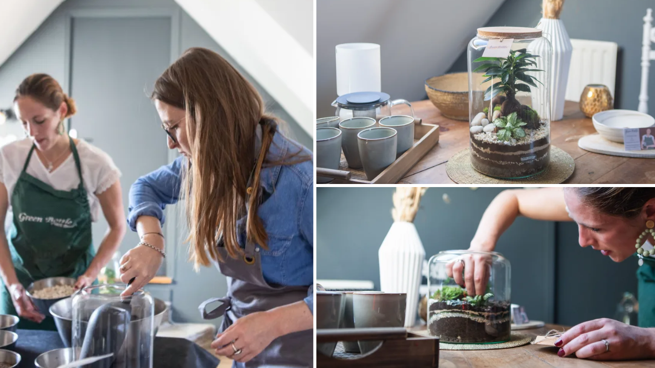 atelier-parent-enfant terrarium