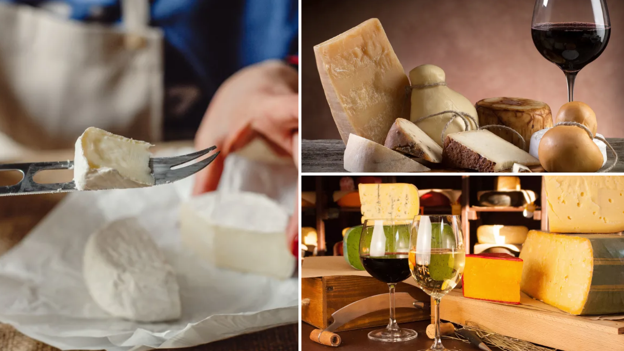 degustation-vin-fromages