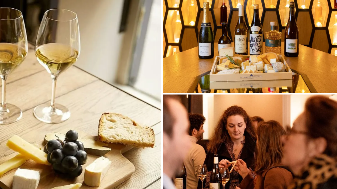 degustation-vins