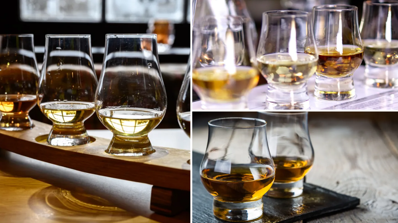 dégustation whiskies