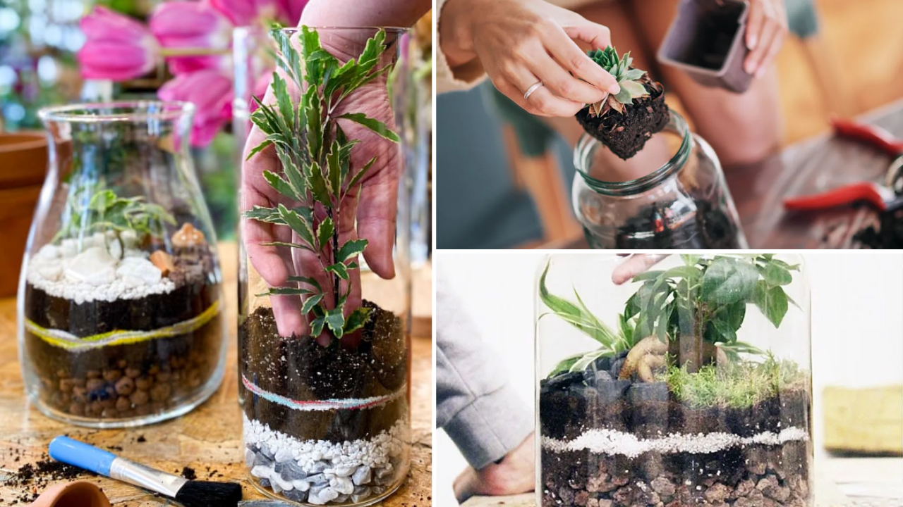 atelier-terrarium-paris
