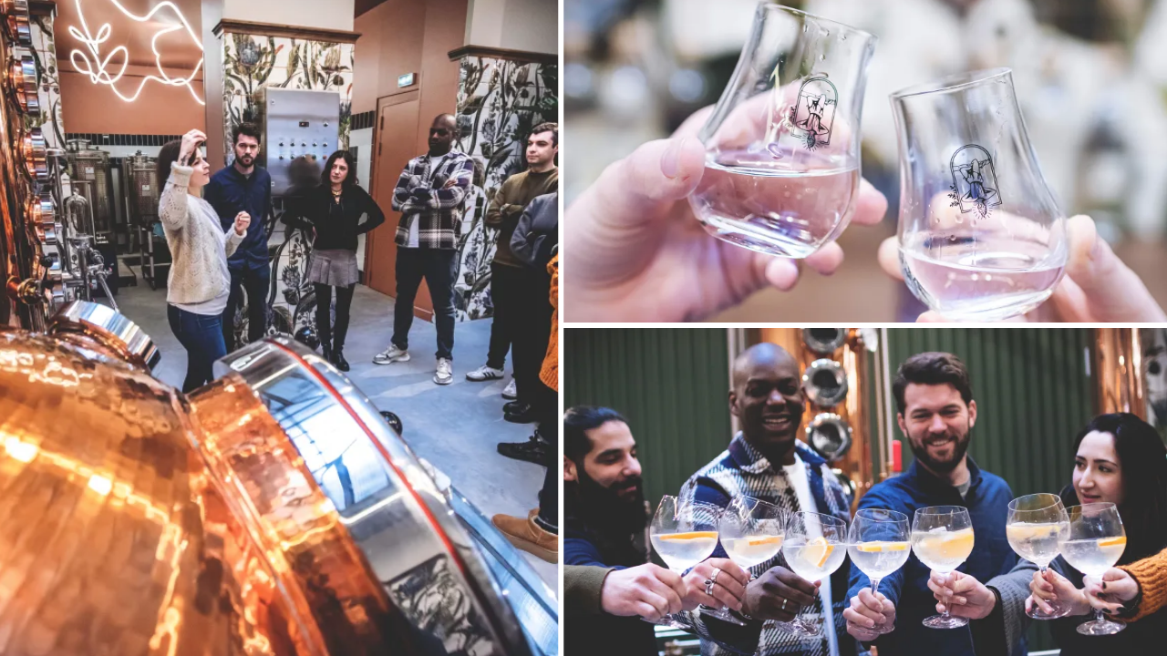 visite-degustation-gin